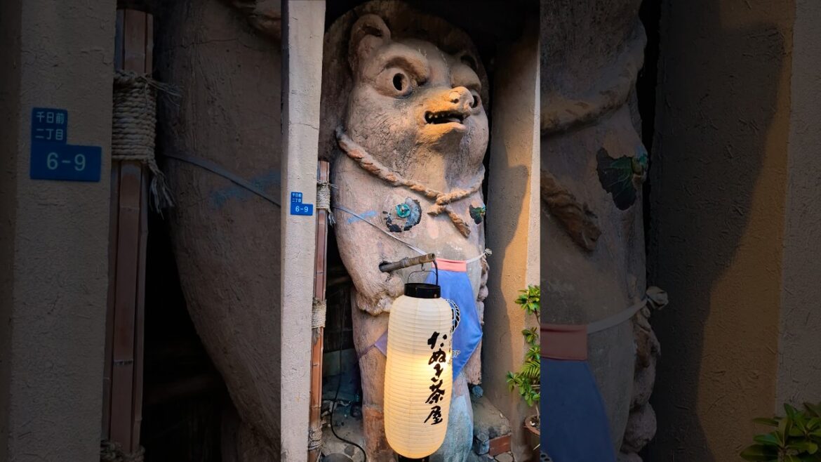 🇯🇵 Cool Japan 🦝 Wacky Tanuki Café in Osaka looks like a blast