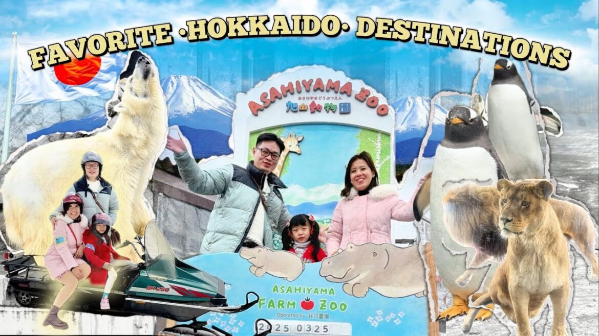 One Day ITINERARY in Hokkaido: Asahiyama Zoo, Nigle Terrace, Shikisai No Oka, Christmas Tree