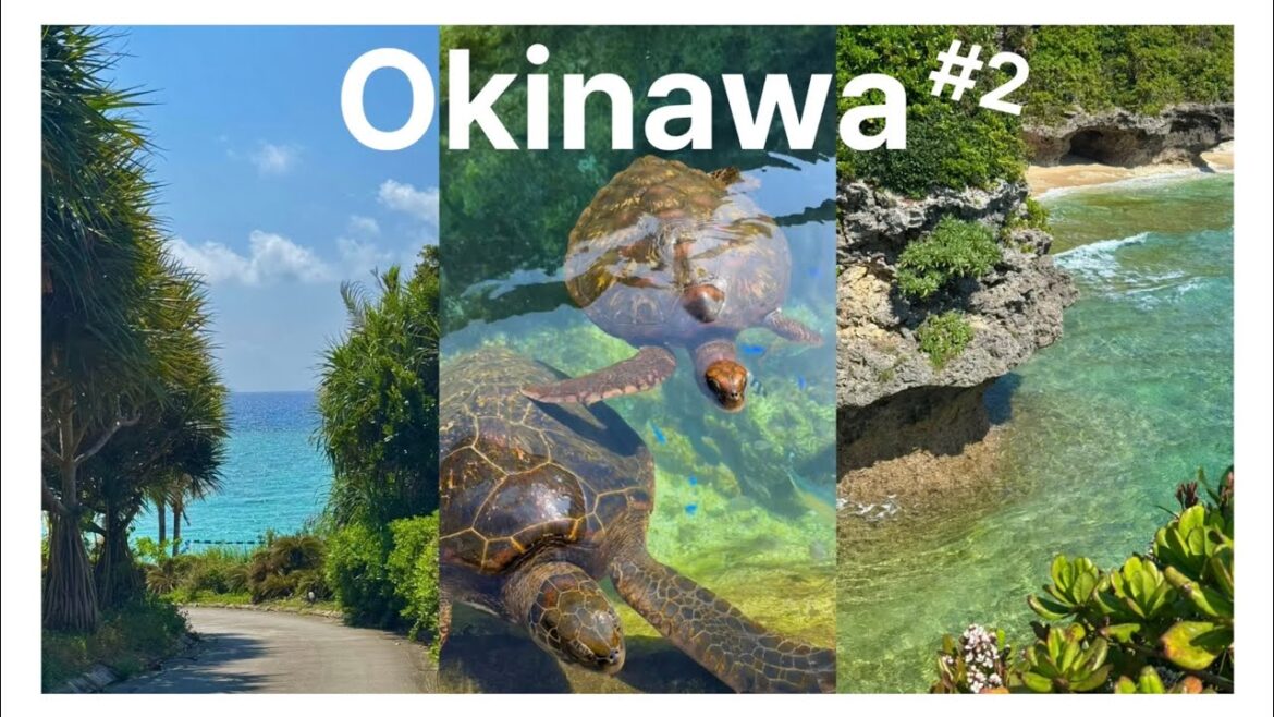 jp)이게 오키나와 바다구나🩵 | 🌊하루에 비치만 6군데 간 날 | 🏃🏻‍♀️뚜벅이 여행 | 🪸요미탄 비치 투어