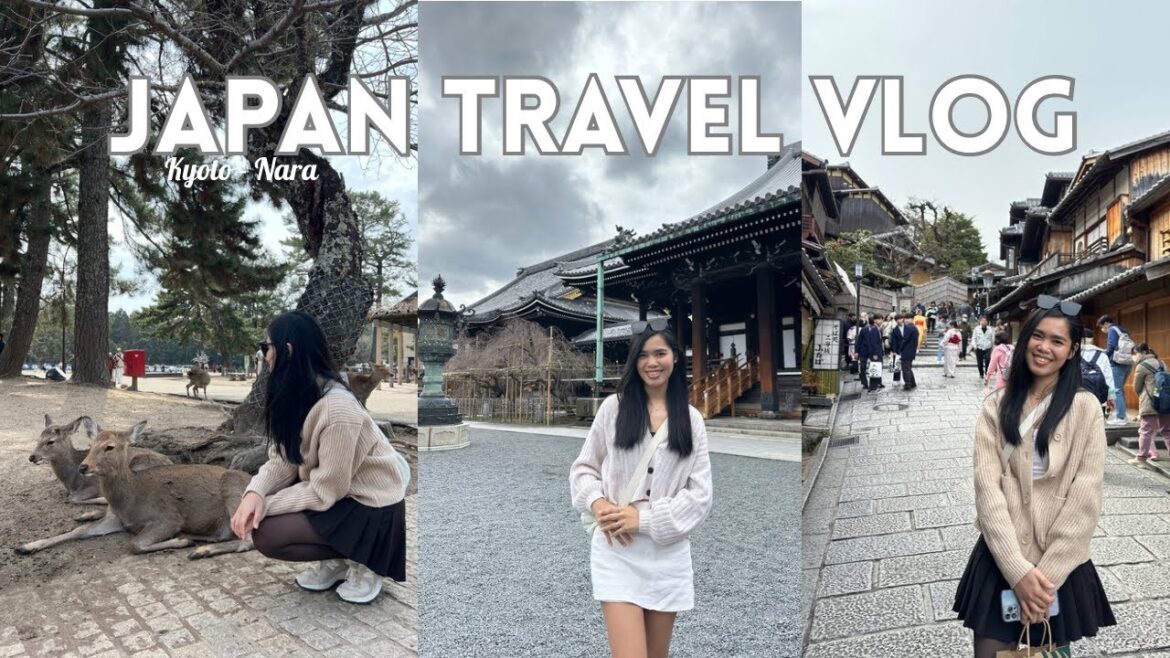 Japan Travel Vlog | Exploring Kyoto, Hotel room tour + cost, short trip to Nara Japan Travel Vlog | Exploring Kyoto, Hotel room tour + cost, short trip to Nara
