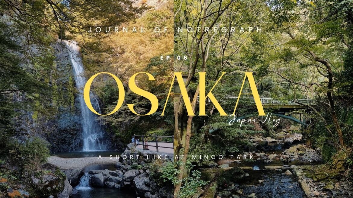 JAPAN VLOG - EP6 OSAKA - Discovering another side of Osaka, a short hike at Minoo Park with a baby