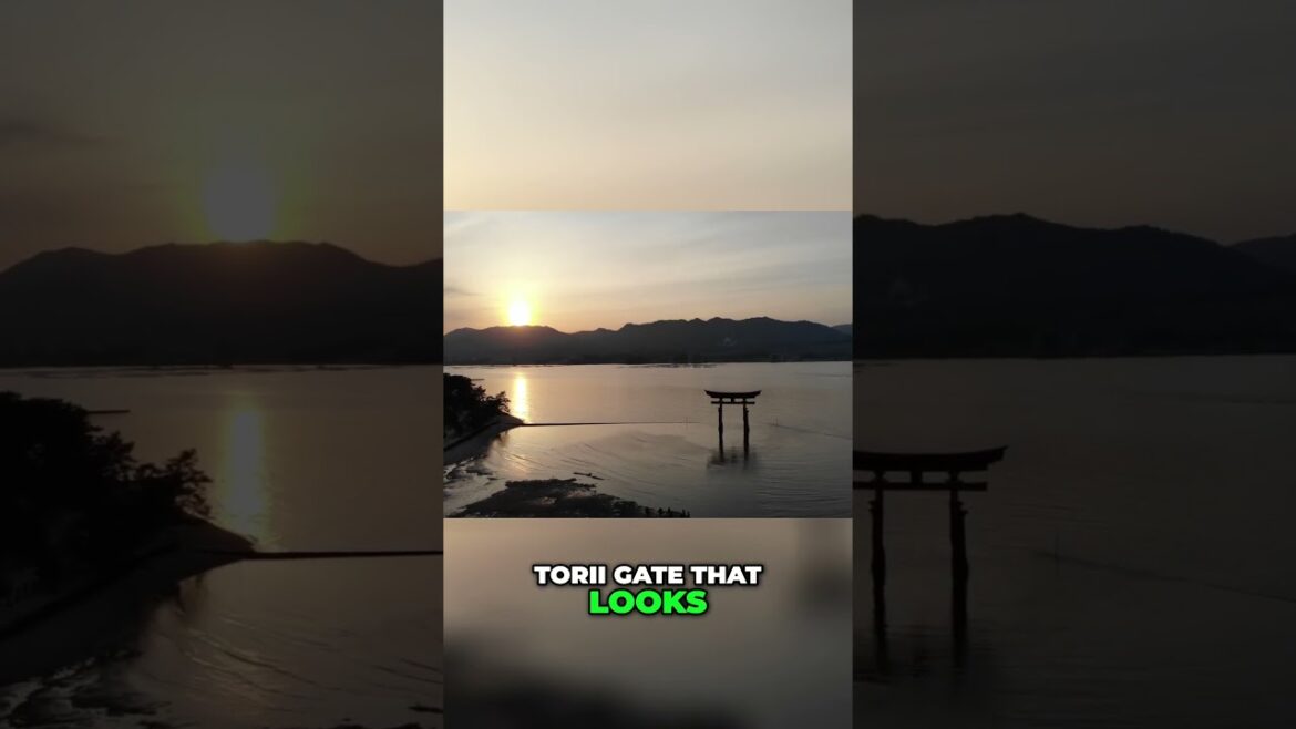 Miyajima Japan's Floating Gate & Adorable Deer Paradise  #travel  #facts #japan