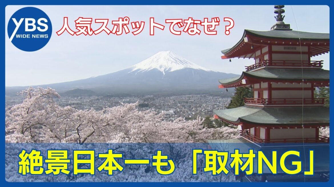 なぜ？春の絶景日本一も「取材NG」人気の富士山スポットで“観光公害”が顕在化 山梨