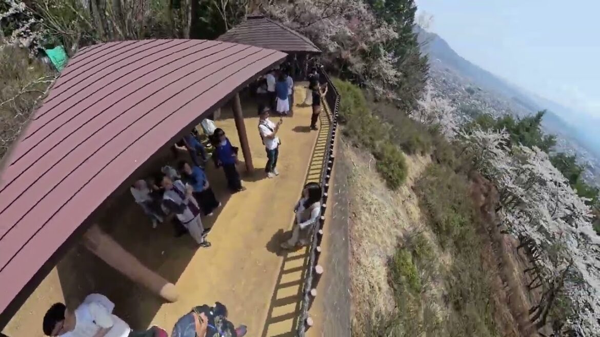 Trip in Kawaguchiko 2025 Mt Fuji