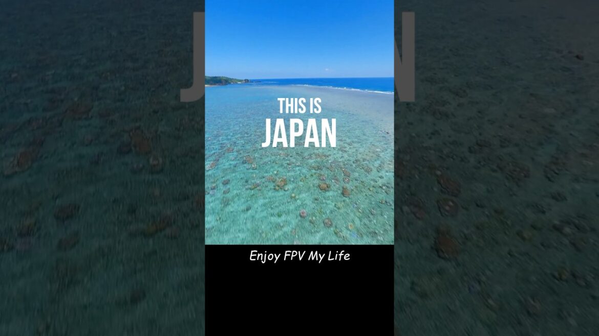Discover Okinawa in FPV — Japan's Tropical Escape | File.9 #fpv #djifpv #okinawa