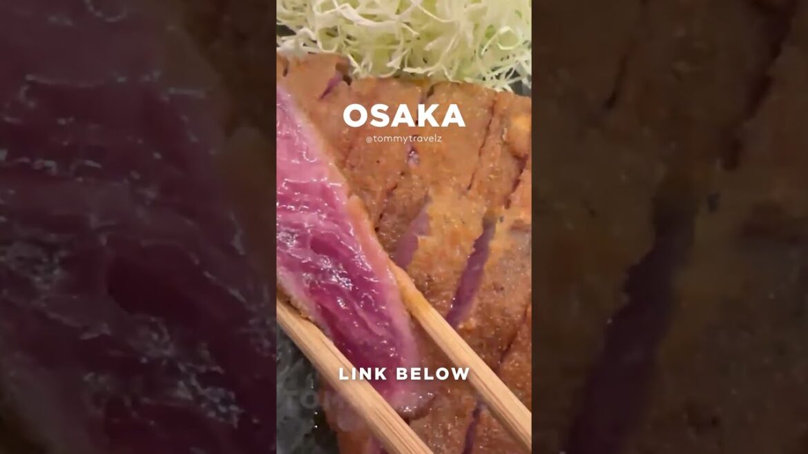 #tokyo #osaka #ohtani #kyoto #shibuya #ginza #onsen #shinjuku #soba #ramen #tokyotravel #japan