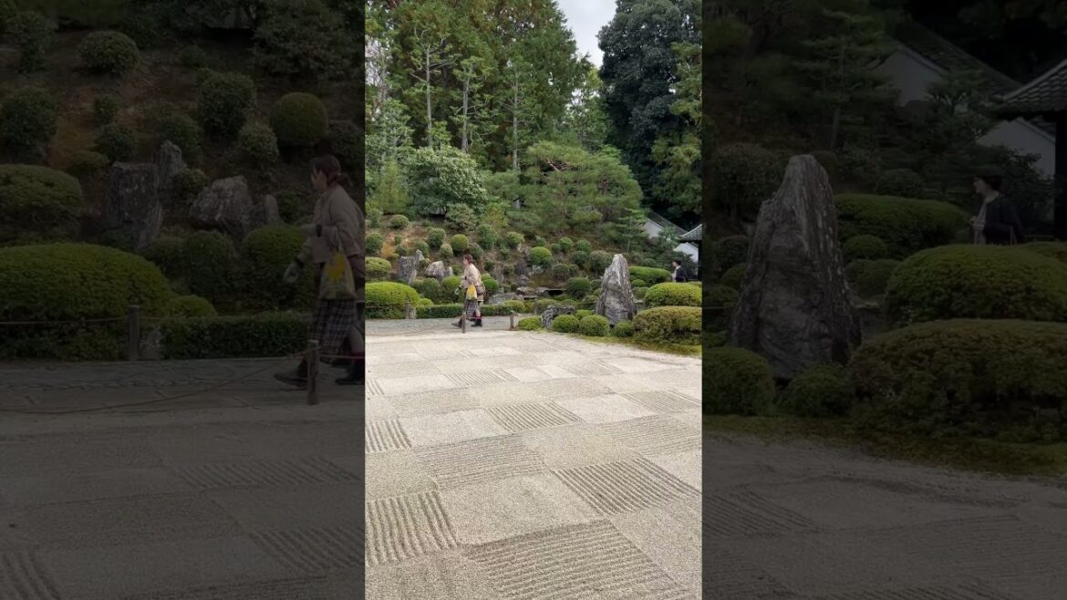 【KYOTO】Must-See Quiet Tourist Attraction - Tofukuji Temple