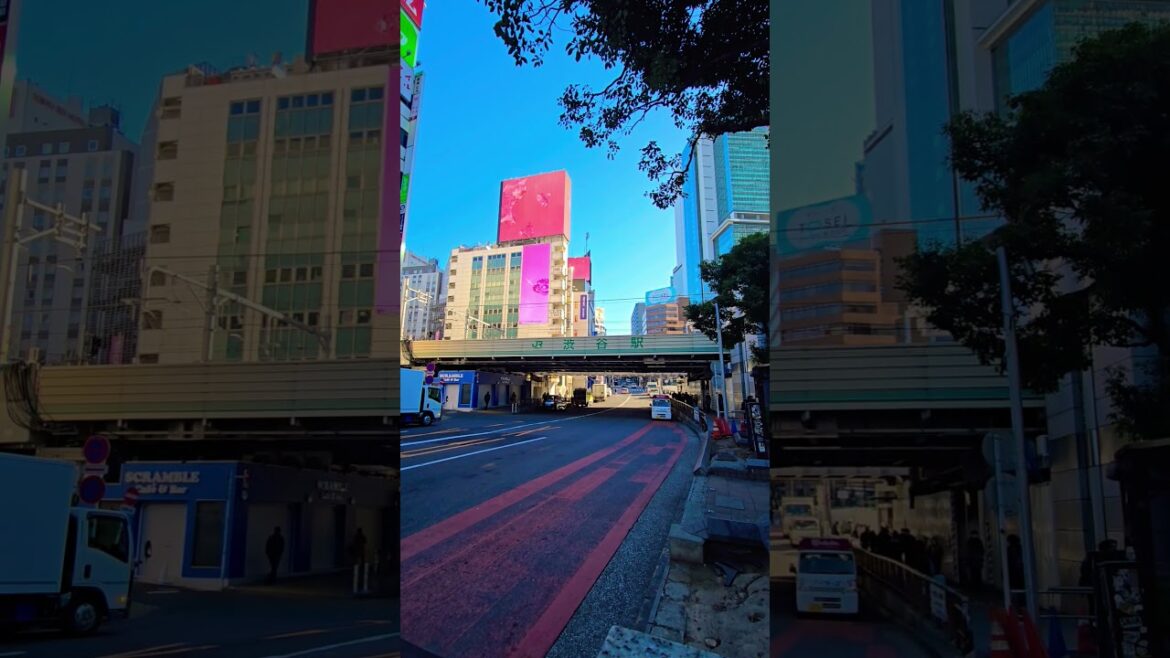 Shibuya Tokyo, Japan 🇯🇵 #japan #tokyo #shorts