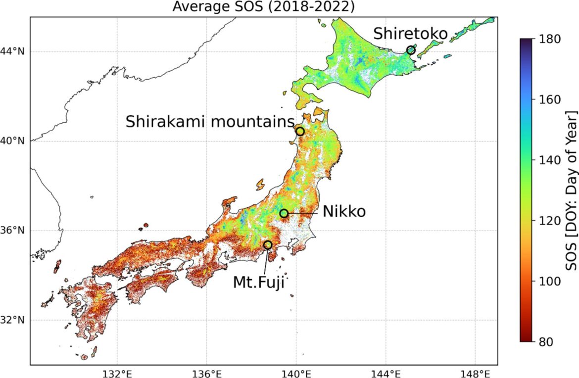 Satellite data analysis shows earlier spring leaf flush in Japan caused by high temperatures in 2023 and 2024
