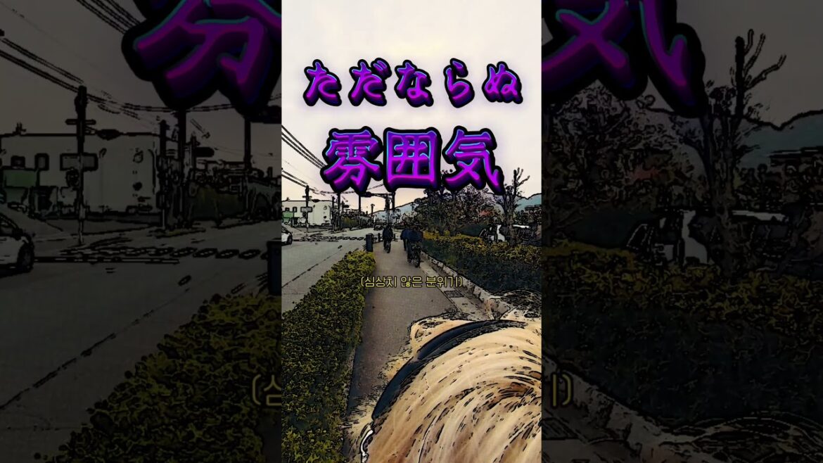 일본 시모노세키에서 아침인사 100번하기 [日本.b]