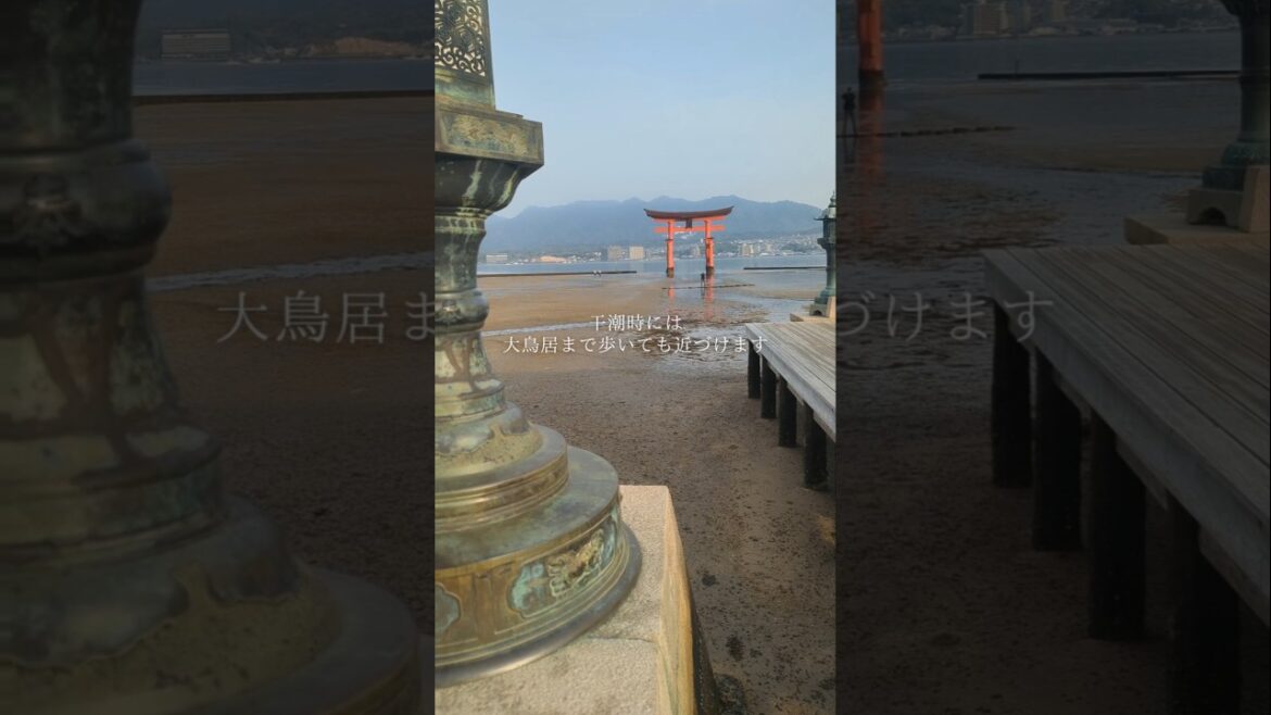 【宮島·厳島神社】実際行ってみると本当に感動する#厳島神社 #宮島 #大人旅 #世界遺産#日本三景#大鳥居