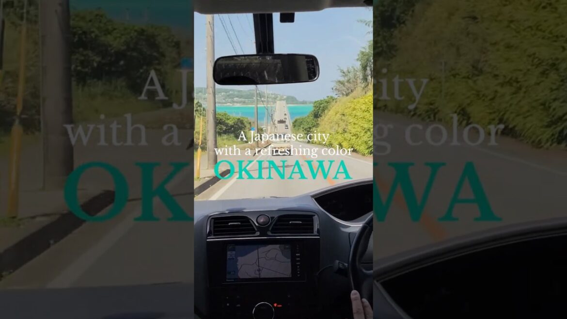 π¨μκ°μ²μ¬ μ€ν€λμ μ¬νμ 보 μ΄μ 리(βοΈλ보기λ μ 보) #shorts #okinawatrip π¨μκ°μ²μ¬ μ€ν€λμ μ¬νμ 보 μ΄μ 리(βοΈλ보기λ μ 보) #shorts #okinawatrip