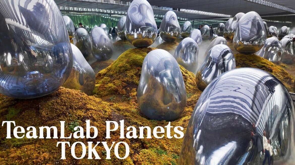 TeamLab Planets Tokyo: A Surreal Art Experience in Toyosu TeamLab Planets Tokyo: A Surreal Art Experience in Toyosu