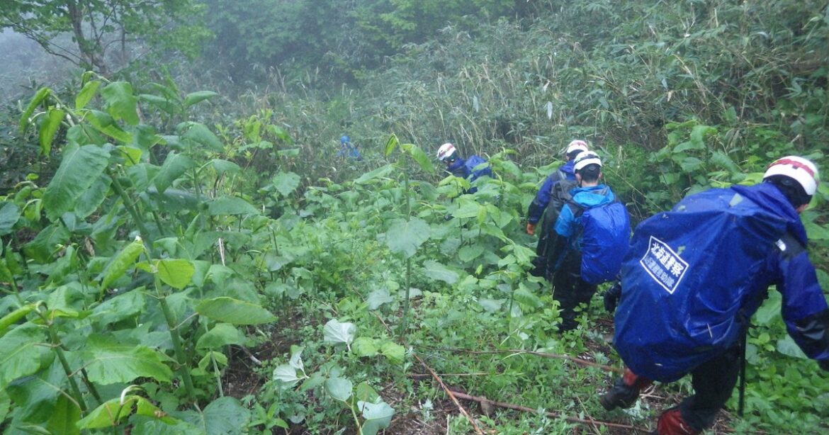 Hokkaido police warn of mountain accidents and bear attacks while picking wild plants