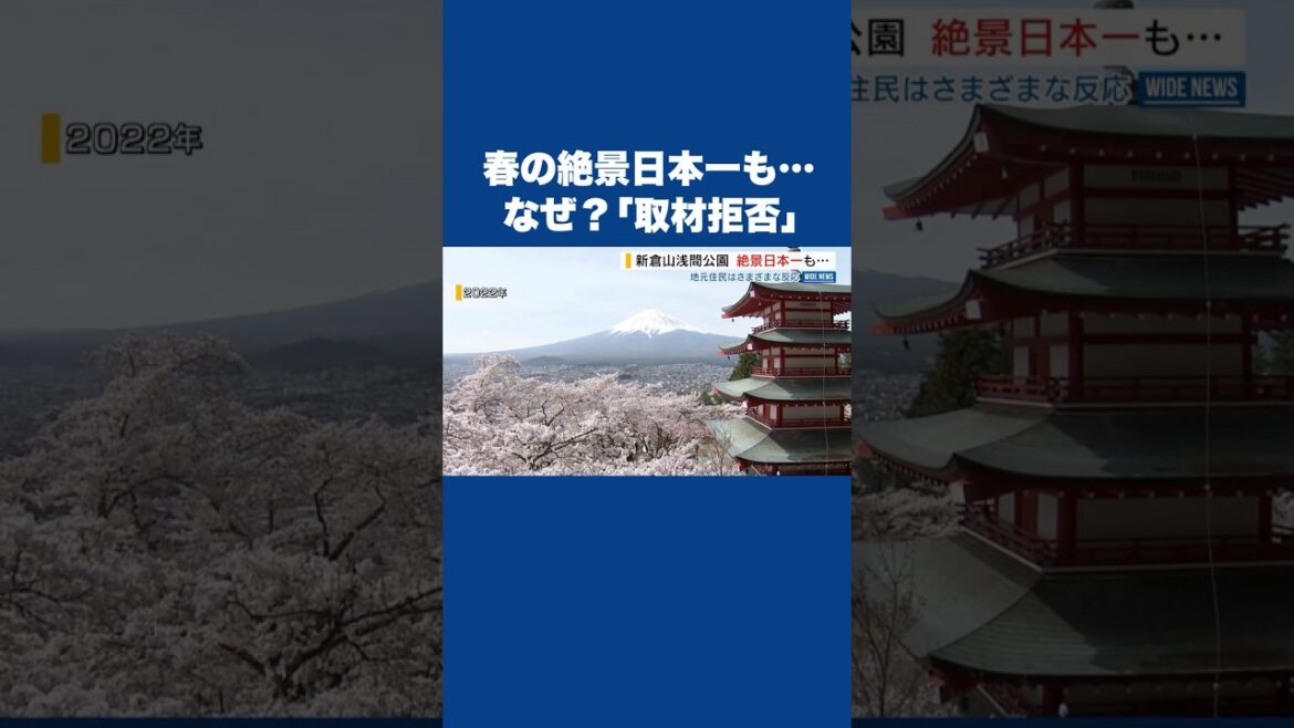なぜ？春の絶景日本一も「取材NG」人気の富士山スポットで“観光公害”が顕在化  #shorts #富士山 #桜 #サクラ #絶景 #日本一 #新倉山浅間公園  #山梨県