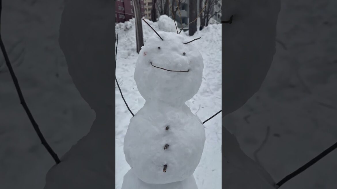 Do you wanna build a snowman? #japan #travel #japantravel #sapporo #hokkaido #winter #snowman