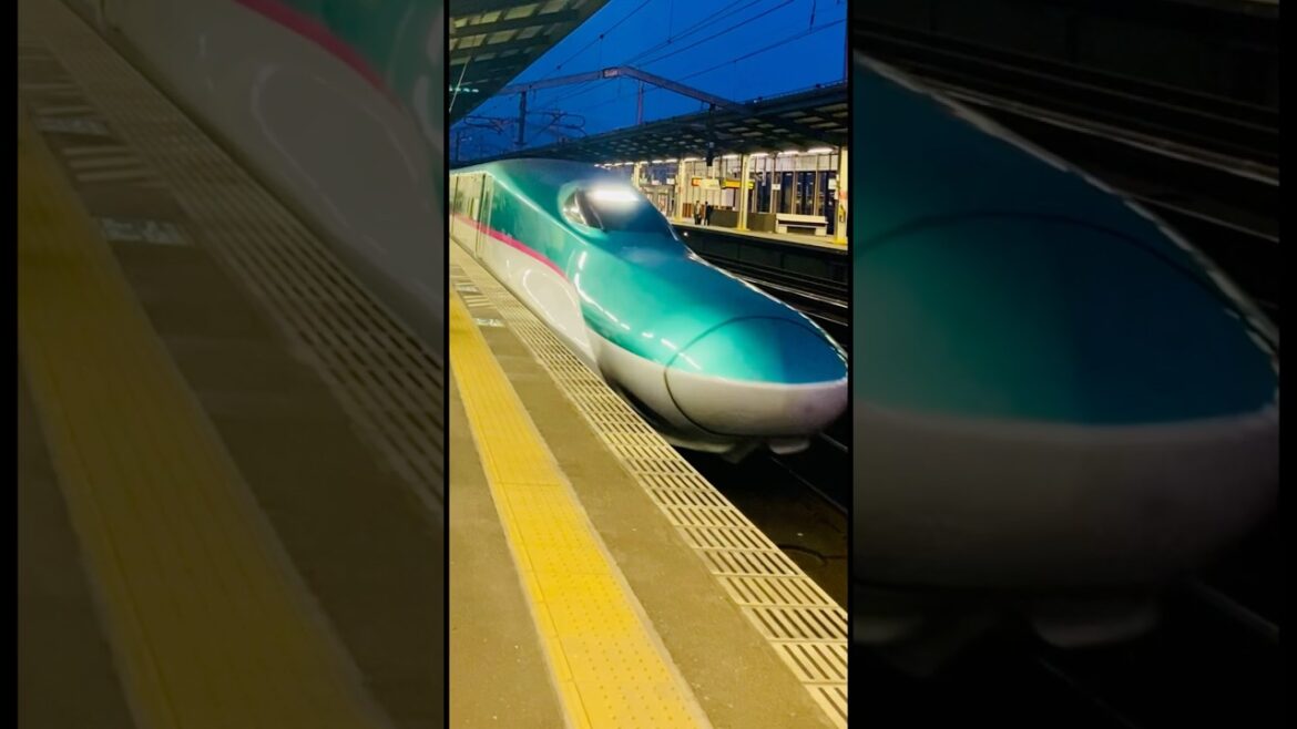 #tokyo #japan #shinkansen #bullettrains #train #travel #shortsfeed #shortvideo #shorts #ytshorts