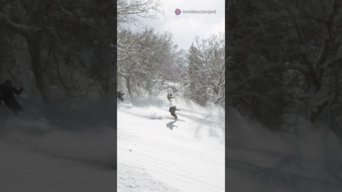 Hokkaido’s Winter Wonderland ❄️🇯🇵 #shorts #ExploreHokkaido #GlobePicks #TravelShorts #smartphone