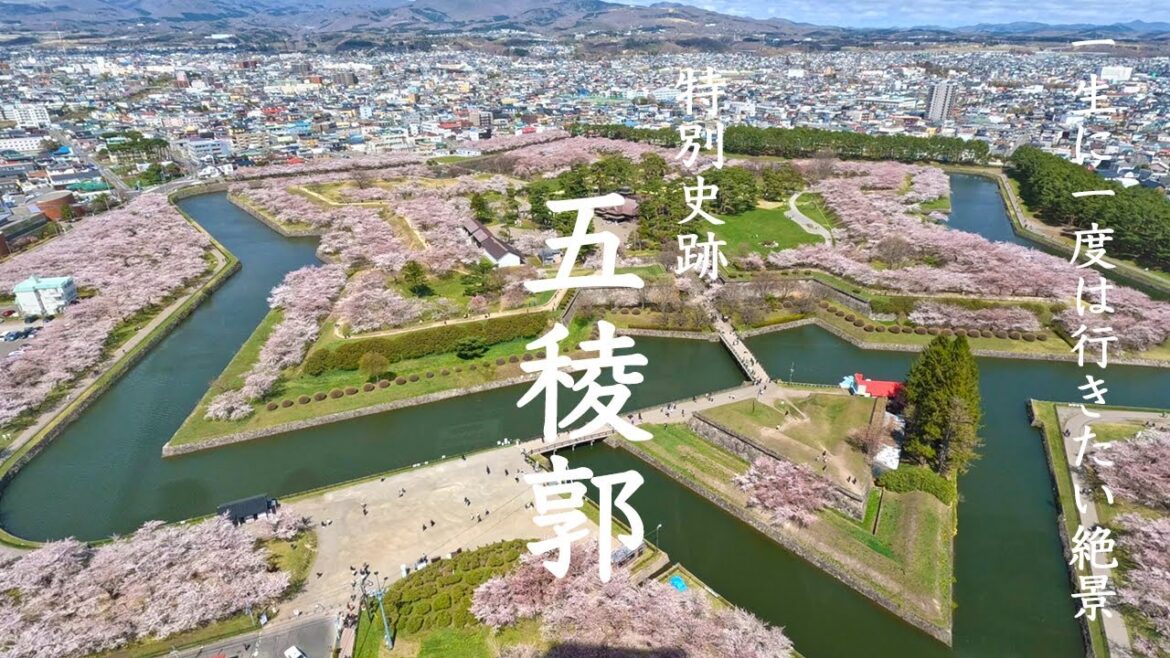 【日本の絶景】五稜郭 桜 Goryokaku 函館人気観光スポット 【日本の絶景】五稜郭 桜 Goryokaku 函館人気観光スポット
