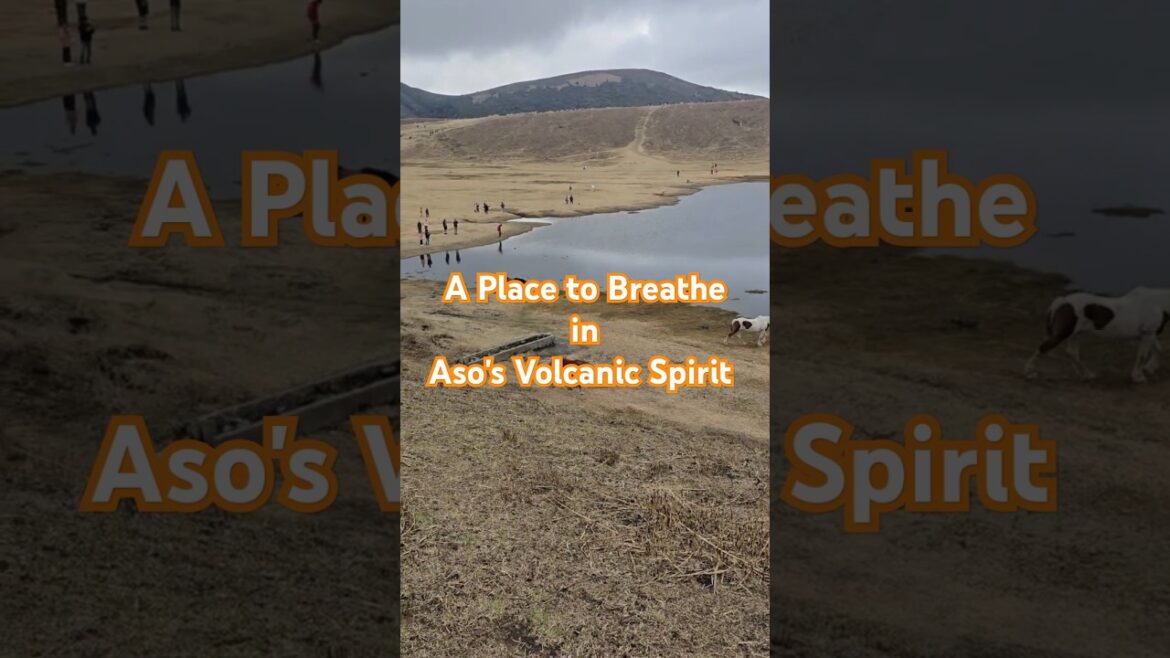 Connect with Nature at Aso's Majestic Kusasenrigahama #japan #travel #kyushu #aso