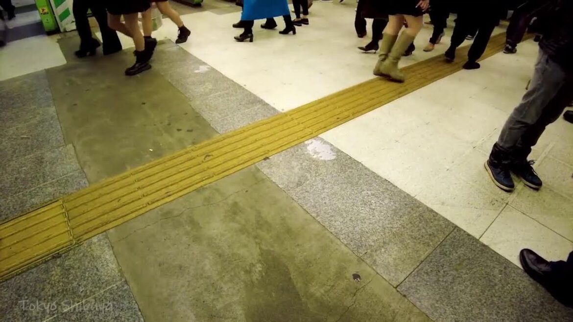 🔴Tokyo Night 24/7🐶Shinjuku, Shibuya Asakusa, etc.💖 🔴Tokyo Night 24/7🐶Shinjuku, Shibuya Asakusa, etc.💖