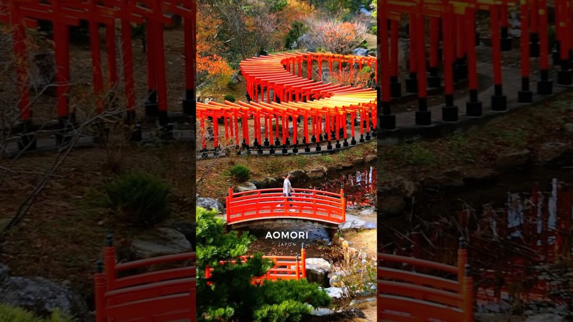 Takayama Inari : un sanctuaire secret d’Aomori à découvrir ! #Japon #aomori #voyage #tohoku