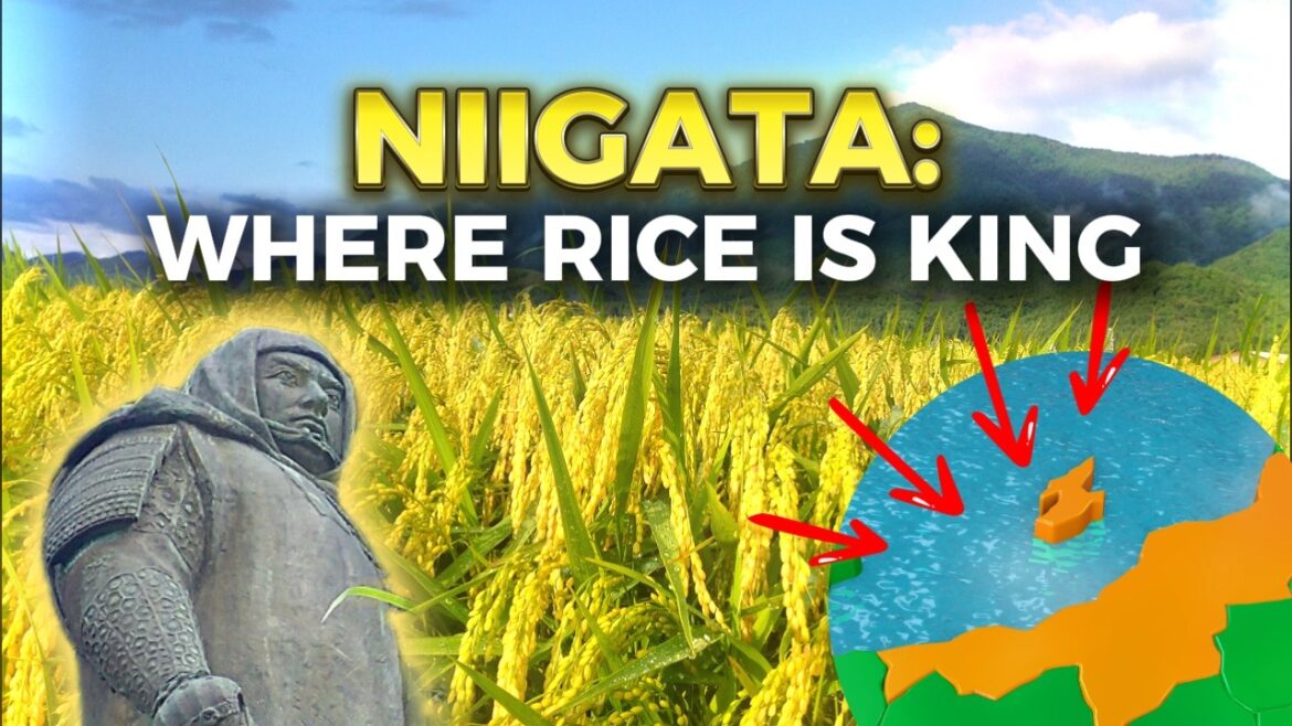 Niigata, Japan: Snow, Sake, and Surprises You Didn’t Expect!