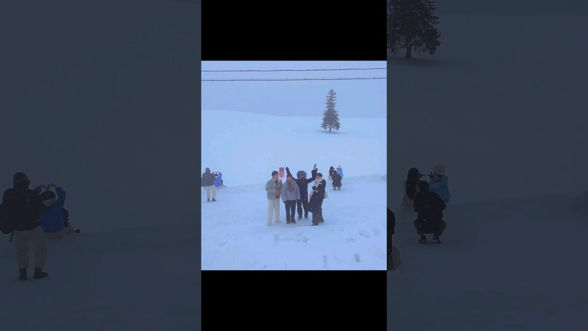 삿포로 3박4일 여행 #삿포로 #여행 #shorts