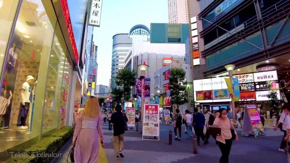 🔴Made Cafe Tokyo 24/7🐶ikebukuro,akihabara, shinjuku ,etc. 🔴Made Cafe Tokyo 24/7🐶ikebukuro,akihabara, shinjuku ,etc.