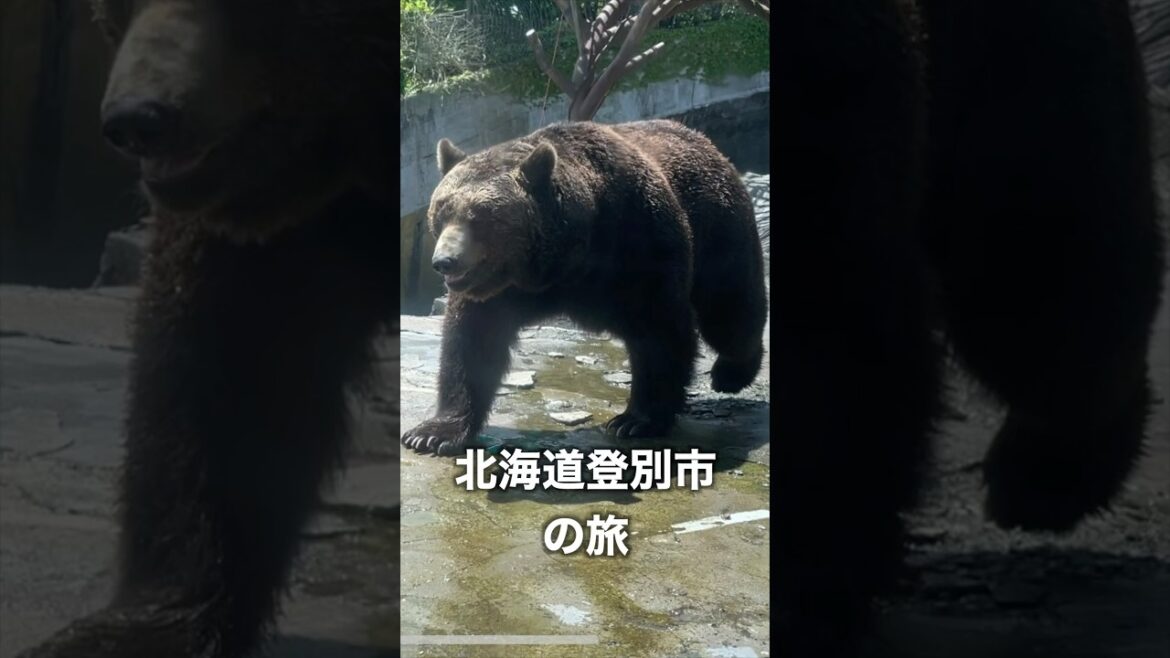 北海道登別市の旅 #Shorts