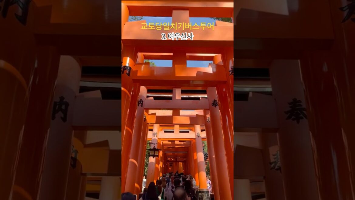 오사카에서 당일치기 교토 버스투어🌸