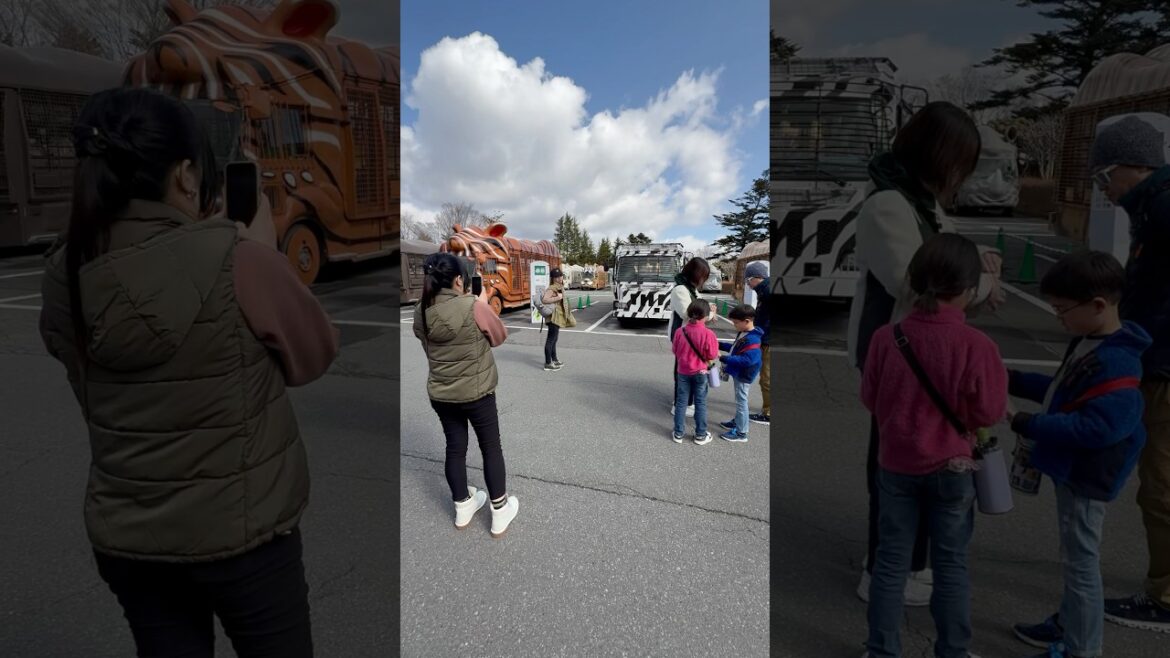Saturday, April 5, 2025 at 8:55 | Fuji Safari Park, Susono City, Shizuoka Prefecture, Japan #japan Saturday, April 5, 2025 at 8:55 | Fuji Safari Park, Susono City, Shizuoka Prefecture, Japan #japan