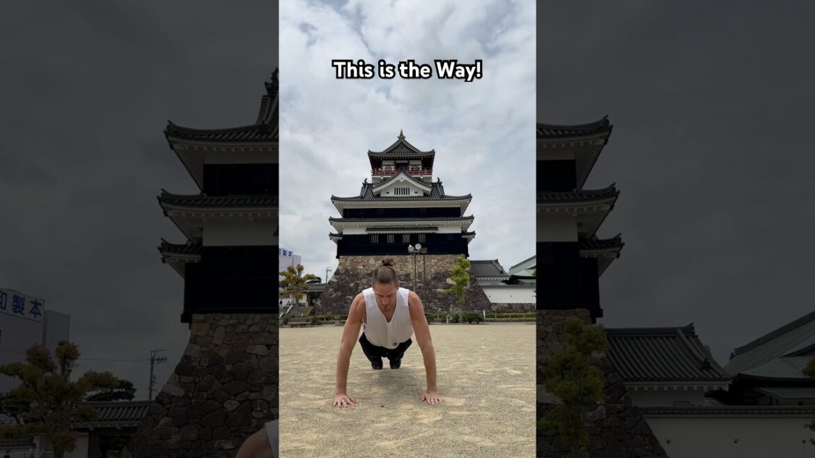 Samurai Discipline - Kiyosu Castle