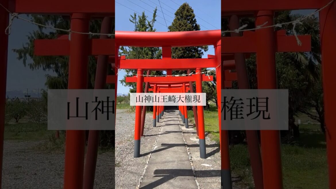 【衝撃】こんな神社見たことない⛩開運祈願や健康長寿を祈ろう☀️　#山梨 #観光 #旅行 #神社仏閣　チャンネル登録をお願いします✨