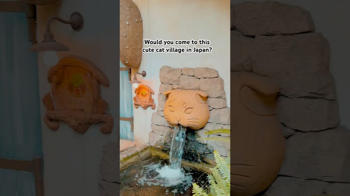 You have to see this cute cat village in Japan! #tokyo #japan #travel