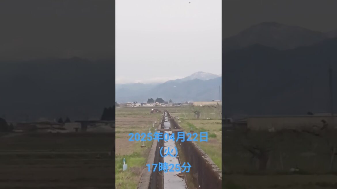 山形県寒河江市散歩にて撮影2025年04月22日（火）17時25分