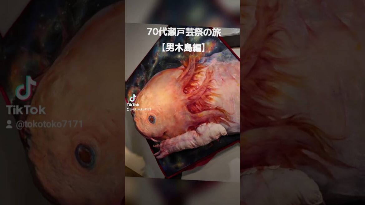 70代の挑戦‼️猫とモダンアートに出会える【瀬戸芸の旅男木島編】 #香川県 #旅 #高松市 #瀬戸内国際芸術祭 #男木島