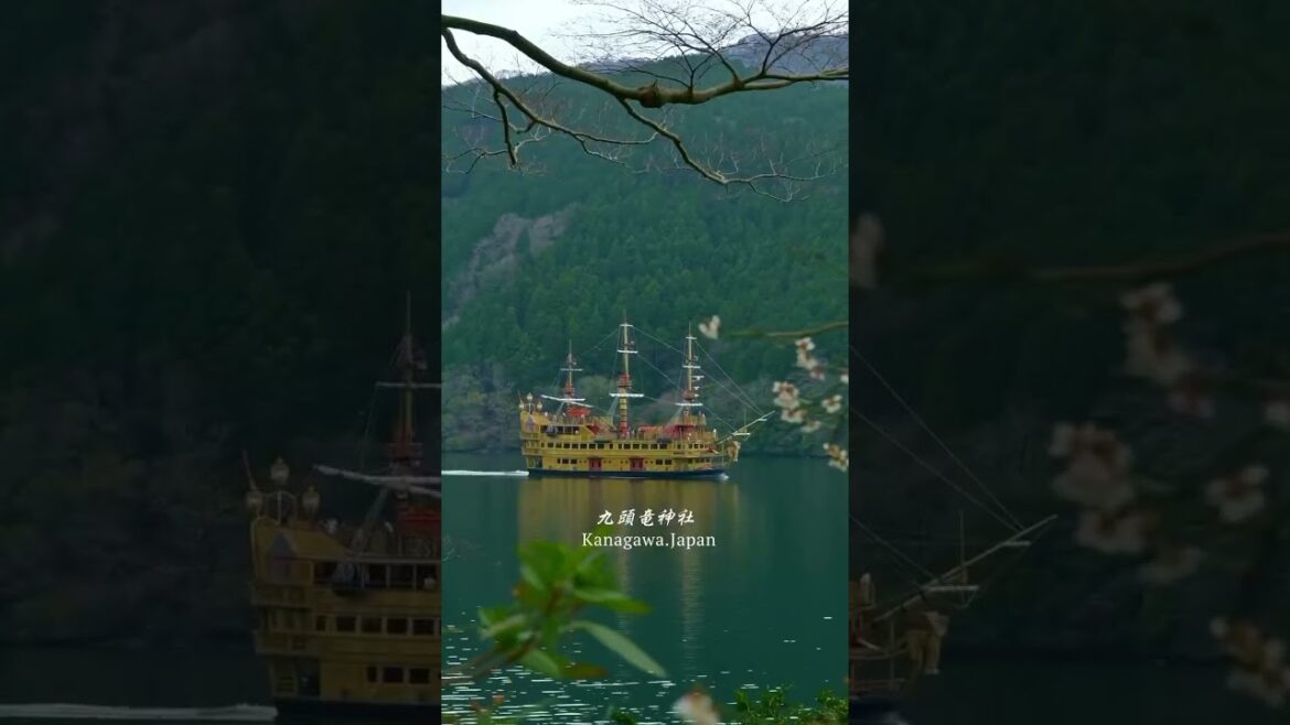 箱根に行ったら行って欲しい!! / If you go to Hakone, you should definitely go there!! 箱根に行ったら行って欲しい!! / If you go to Hakone, you should definitely go there!!