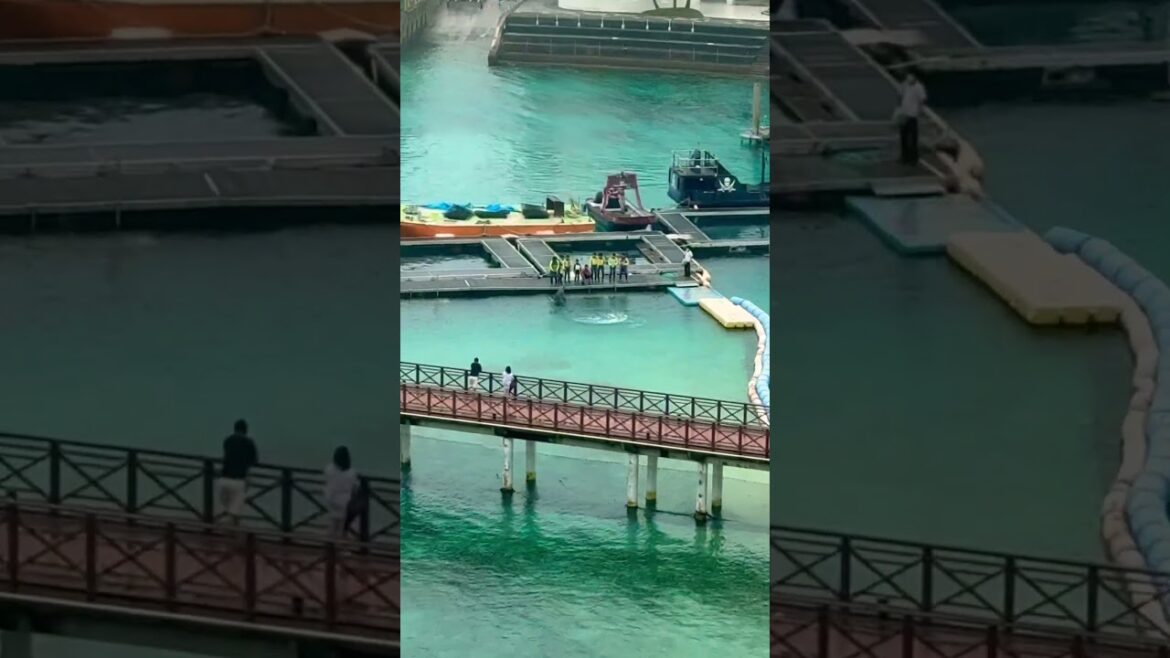 Room with a view! Not the one you expect 😉 #travel #roomwithaview #japan #shorts Room with a view! Not the one you expect 😉 #travel #roomwithaview #japan #shorts