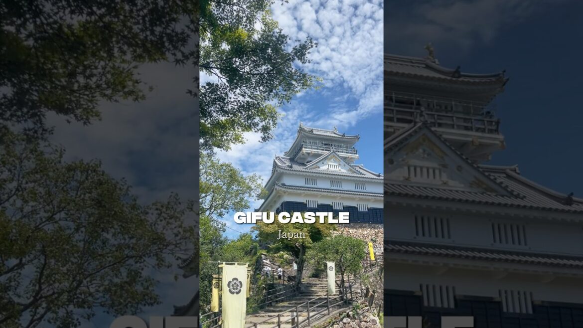 Gifu Castle🏯 Gifu Castle🏯