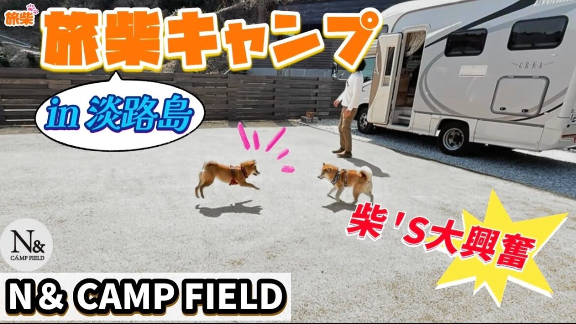 高規格ドッグフリーの旅柴キャンプ in淡路島【キャンピングカーで柴犬たちと行く】 高規格ドッグフリーの旅柴キャンプ in淡路島【キャンピングカーで柴犬たちと行く】
