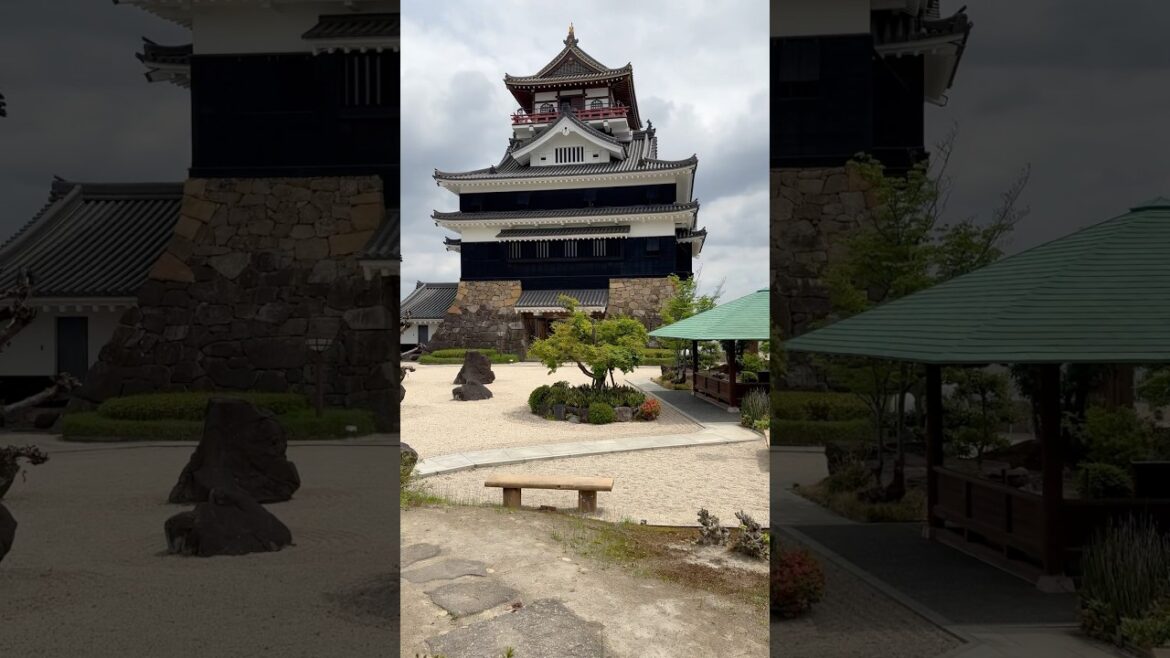 Kiyosu Castle - Aichi Prefecture 🇯🇵