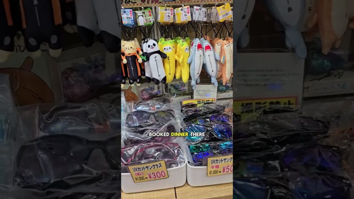 Wisterian Life Club Atami hotel review