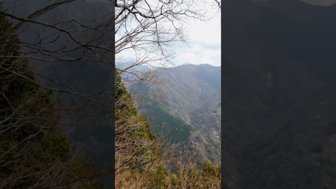 下栗の里の春 (長野県飯田市)