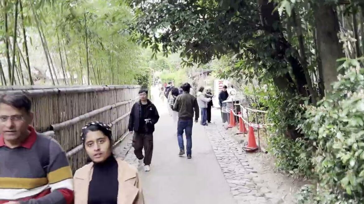 Arashiyama Bamboo Forest | Kyoto | Walking Tour 4k