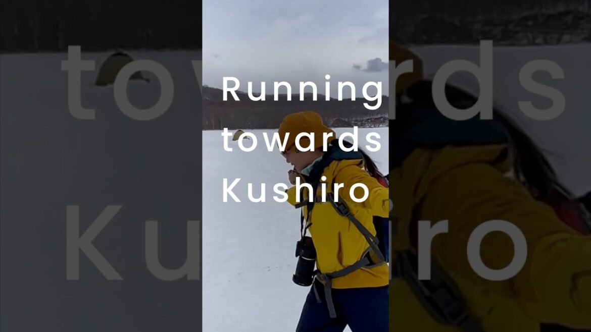 Adventuring at Hokkaido #japan #travel #Hokkaido #winter #wildlife #snow #adventure #adventureawaits