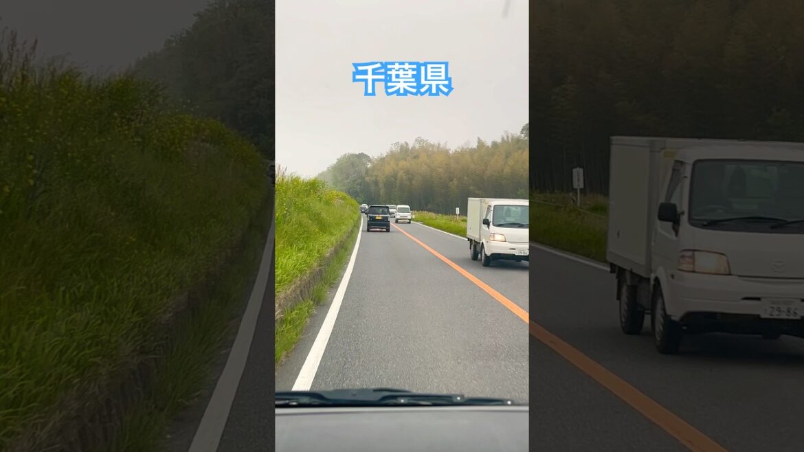 In Chiba Ken . #viralvideo #traffic #traveling #travel #chiba #japan #automobile
