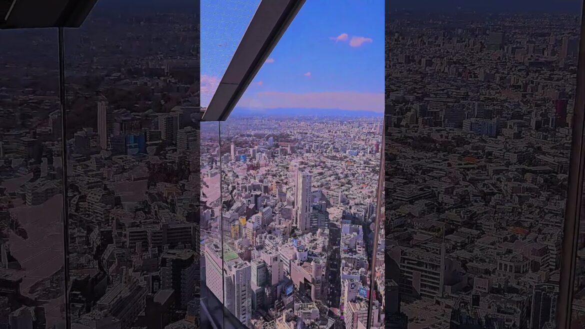 Can't believe this is in Japan | Shibuya Sky | YHBFF #travel #food #japan