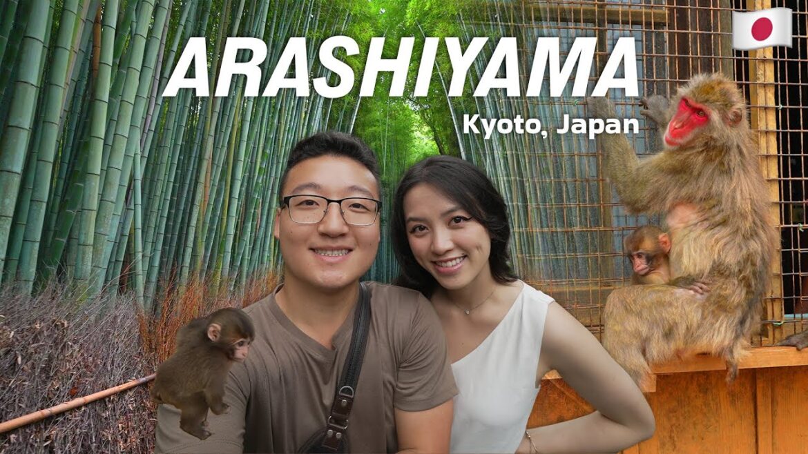 MUST visits in KYOTO 🐒 | 4K Japan travel food vlog MUST visits in KYOTO 🐒 | 4K Japan travel food vlog