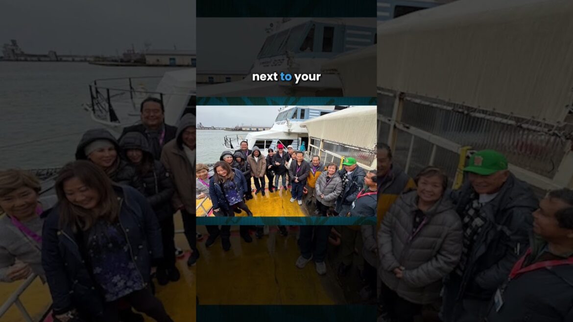 85 sake brewers and over 400 sake to taste? 85 sake brewers and over 400 sake to taste?